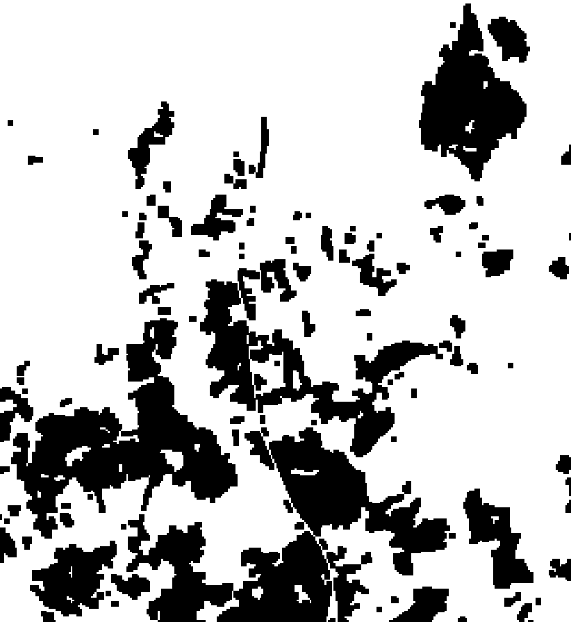 Urban landcover shown in black